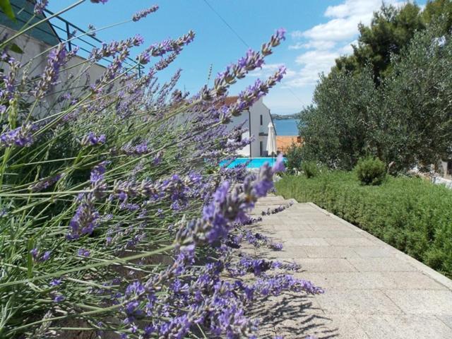 Apartments Villa Goja Трогір Номер фото